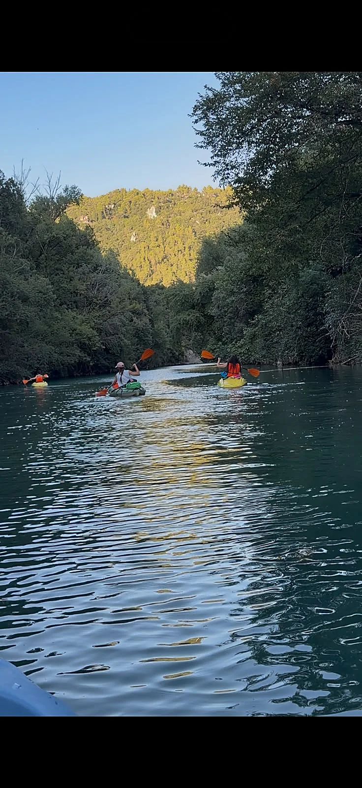 Gruppo di kayak sul fiume Nera nelle gole verdi
